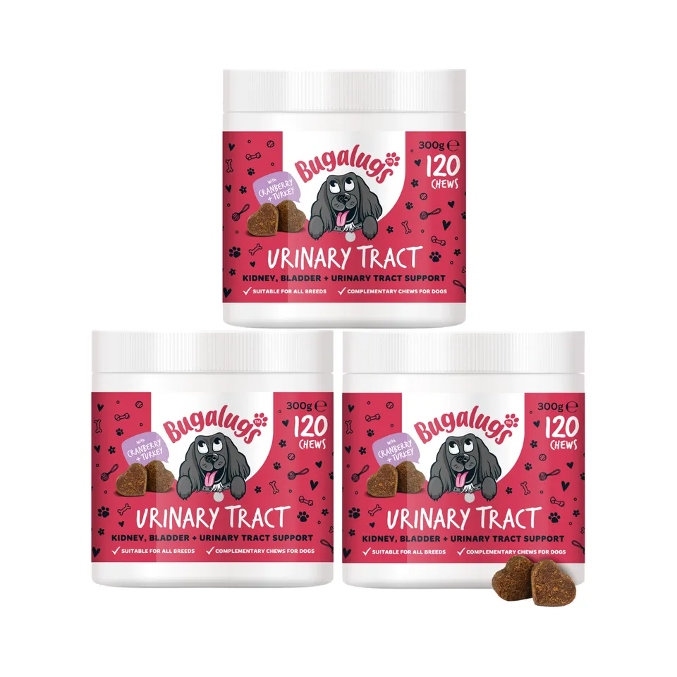 bugalugs-urinary-tract-supplement-chews-f-r-hunde-3er-pack-cranberry-d-mannose-c image 1