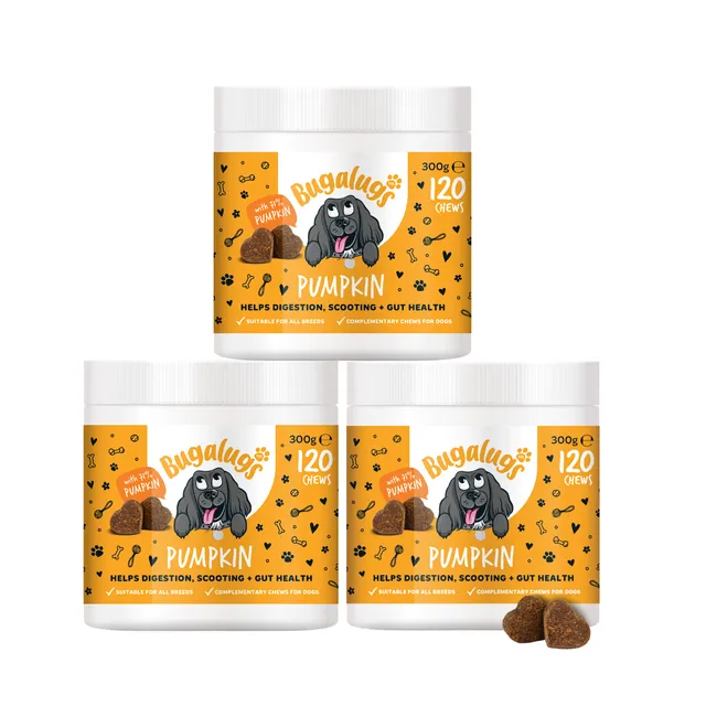 bugalugs-pumpkin-supplement-chews-3er-pack-k-rbis-snacks-zur-verdauungsunterst-t image 1