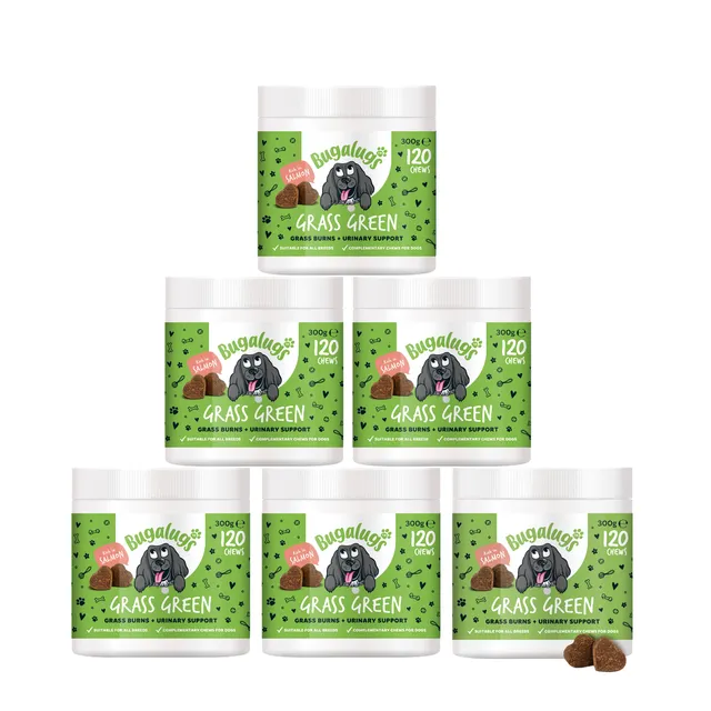 bugalugs-grass-green-supplement-chews-f-r-hunde-6er-pack-gegen-gelbverf-rbungen- image 1