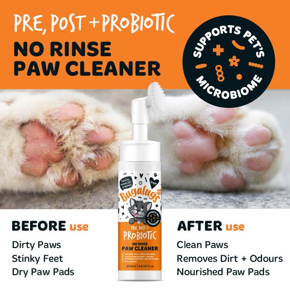 bugalugs-pre-post-probiotischer-no-rinse-pfotenreiniger-f-r-katzen-ohne-absp-len image 2