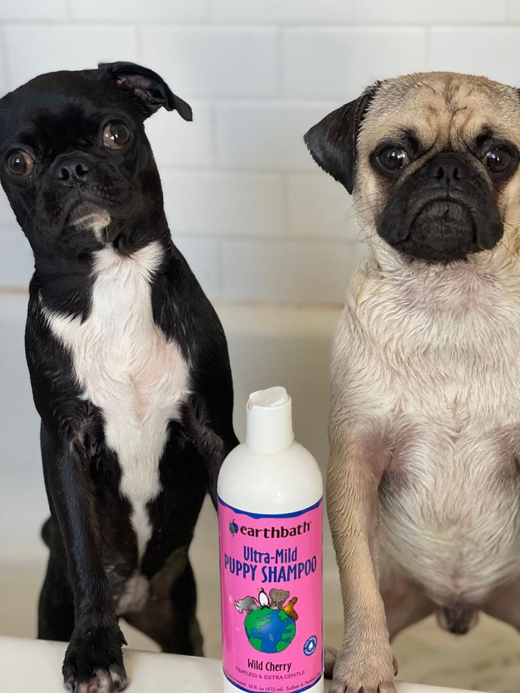 Sehr gutes Welpen-Shampoo