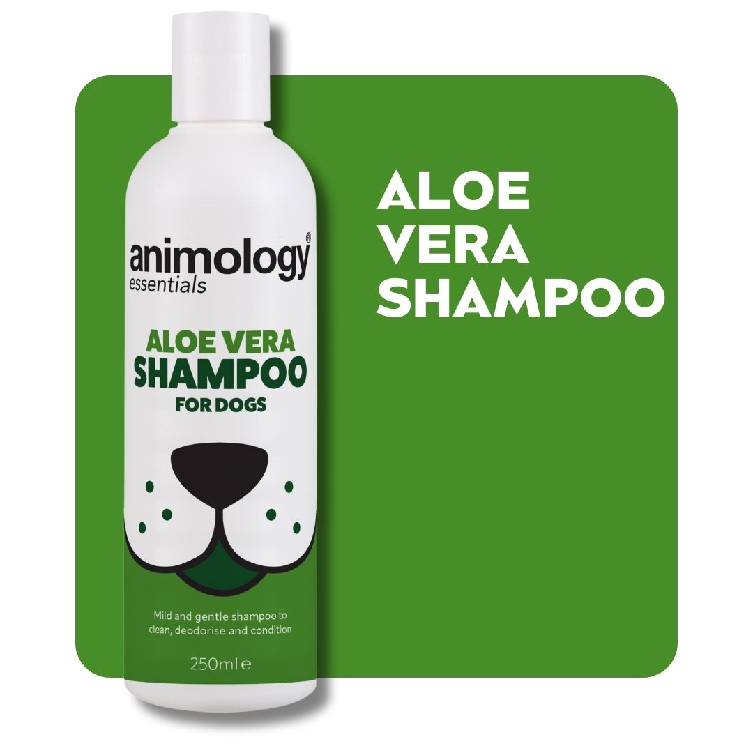 animology-essentials-aloe-vera-hundeshampoo-250ml-mildes-entgeruchendes-pflegend image 1