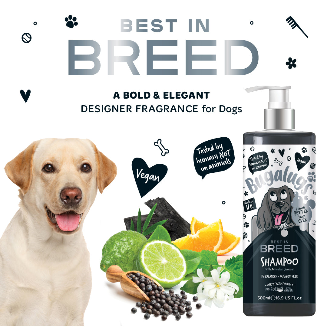 bugalugs-best-in-breed-hundeshampoo-mit-aktivkohle-luxuri-ses-herrenduft-shampoo image 5