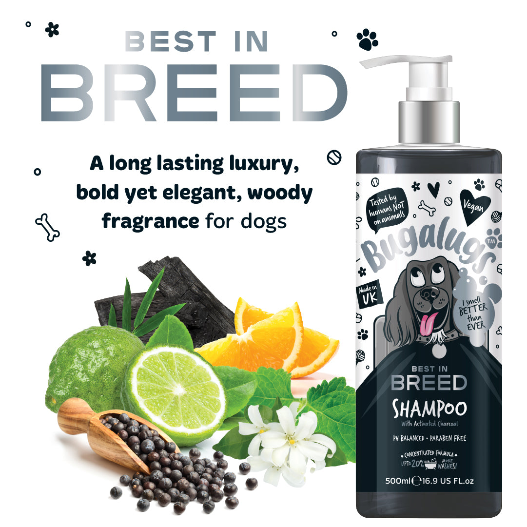 bugalugs-best-in-breed-hundeshampoo-mit-aktivkohle-luxuri-ses-herrenduft-shampoo image 3