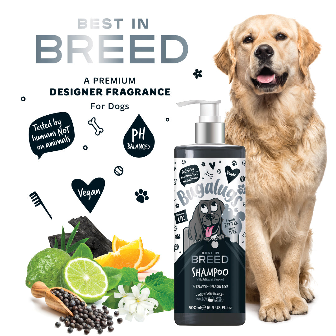bugalugs-best-in-breed-hundeshampoo-mit-aktivkohle-luxuri-ses-herrenduft-shampoo image 6