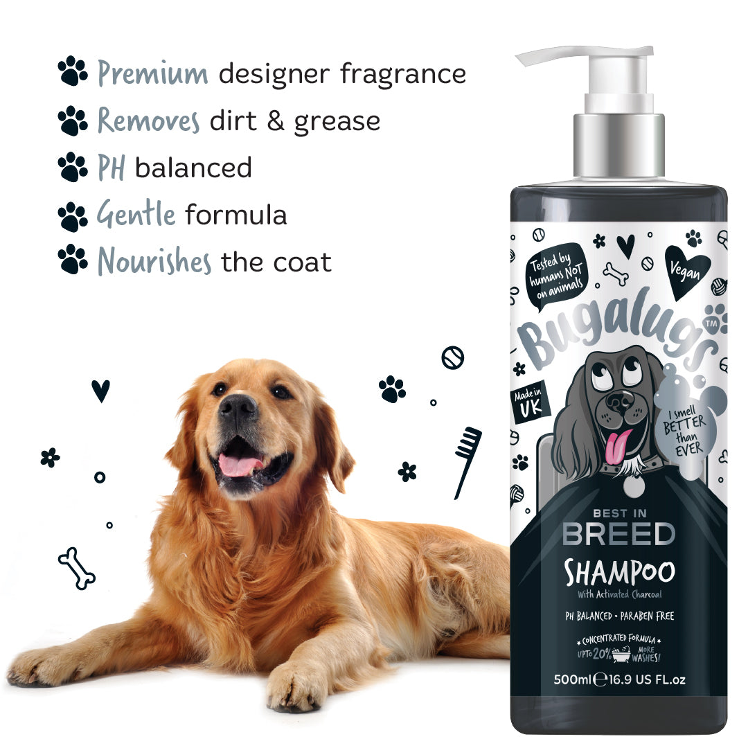 bugalugs-best-in-breed-hundeshampoo-mit-aktivkohle-luxuri-ses-herrenduft-shampoo image 8