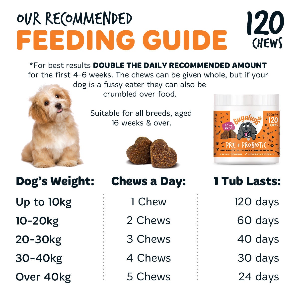 bugalugs-pre-probiotic-supplement-chews-f-r-hunde-kausnacks-f-r-darmgesundheit-v image 4