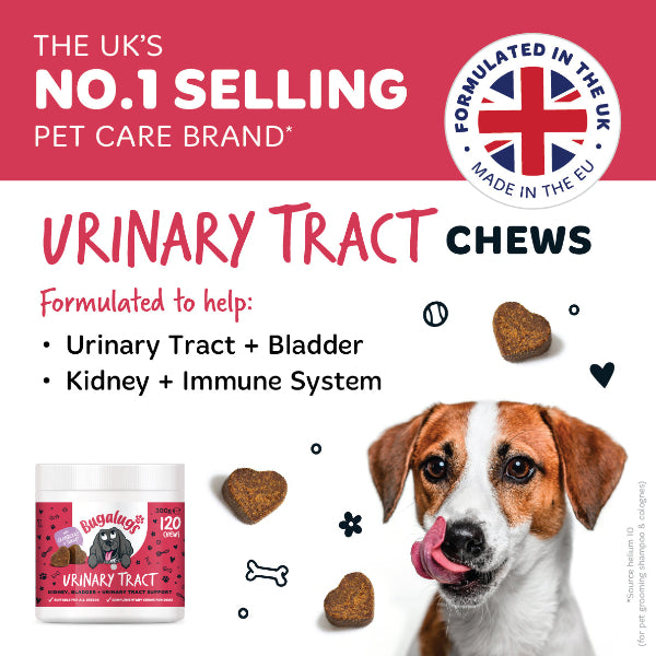 bugalugs-urinary-tract-supplement-chews-f-r-hunde-3er-pack-cranberry-d-mannose-c image 4