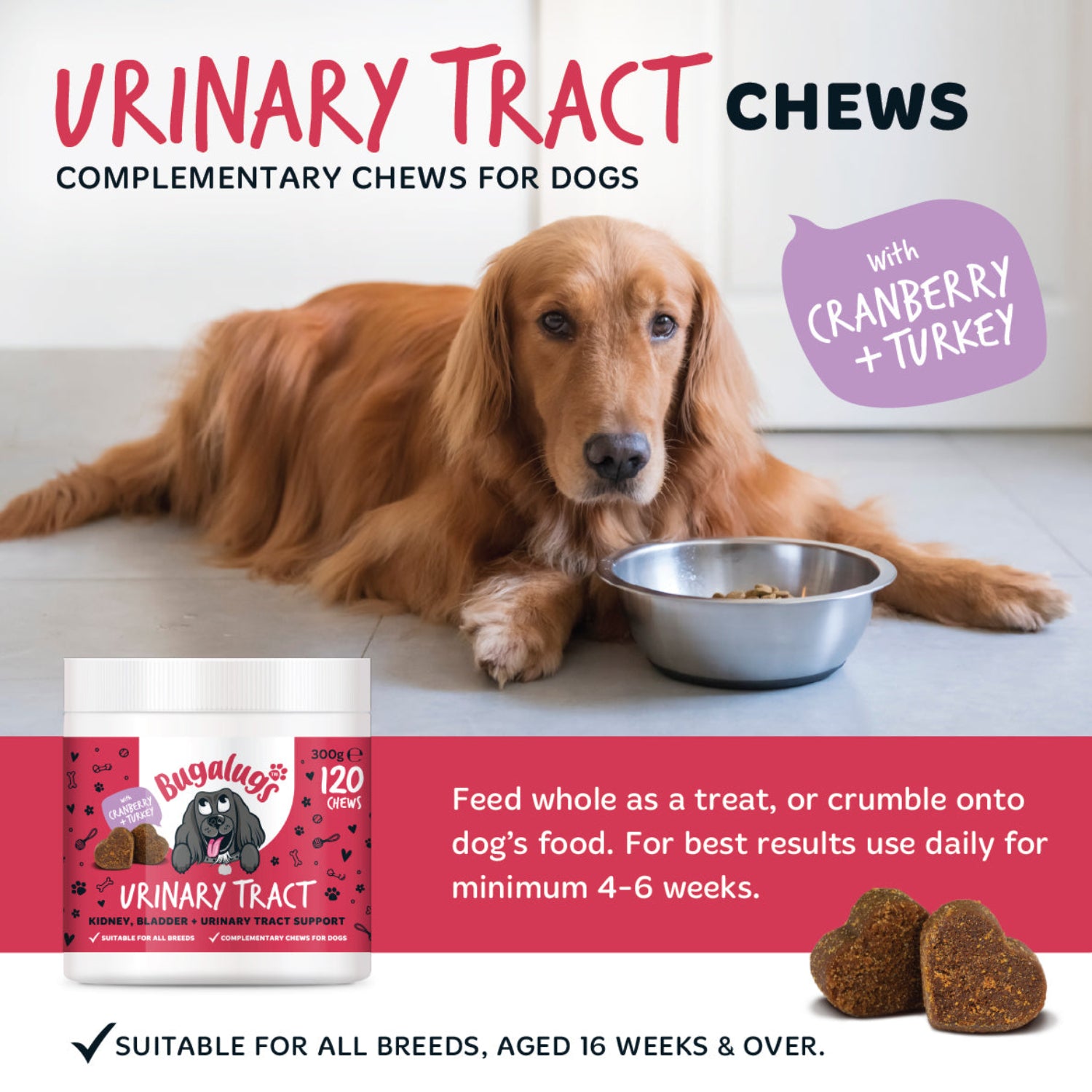 bugalugs-urinary-tract-supplement-chews-f-r-hunde-3er-pack-cranberry-d-mannose-c image 3