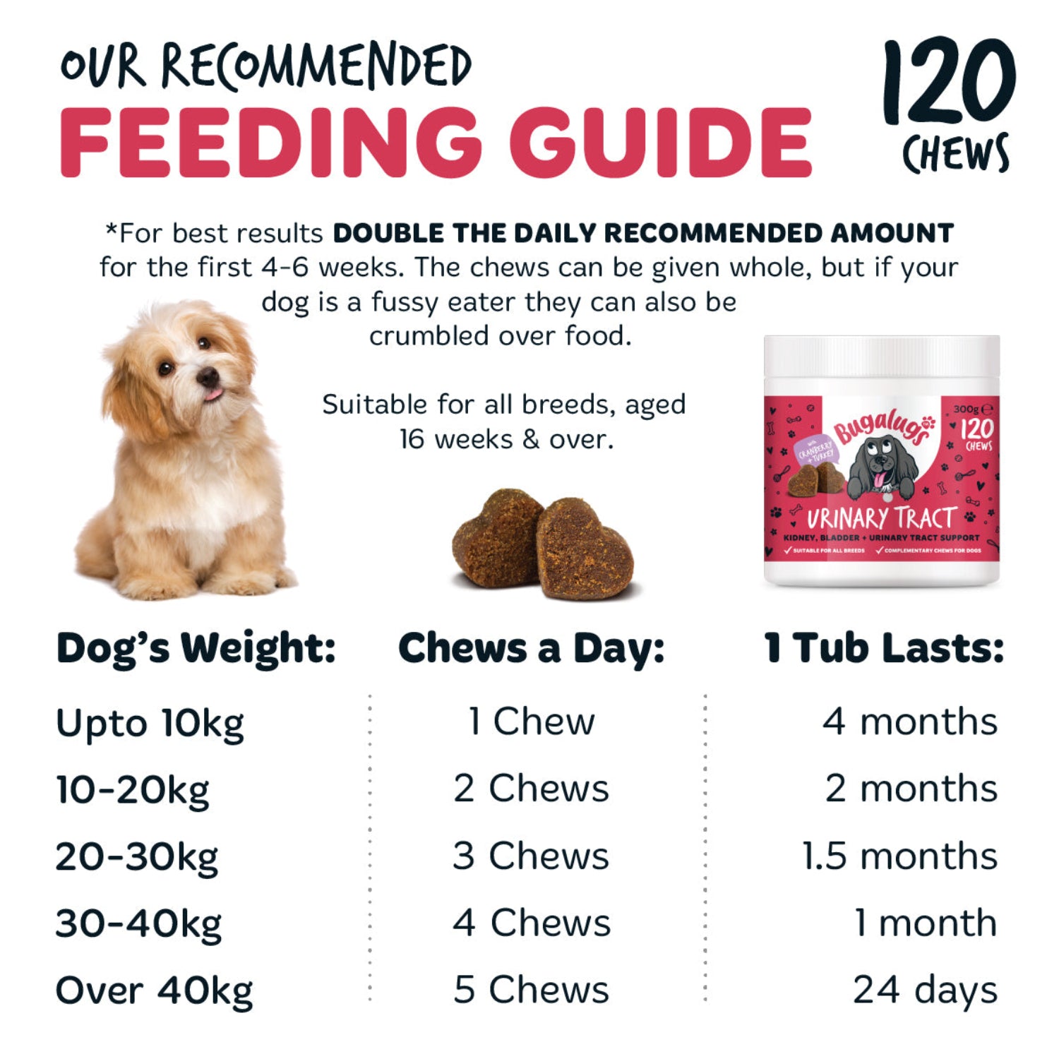 bugalugs-urinary-tract-supplement-chews-f-r-hunde-3er-pack-cranberry-d-mannose-c image 7