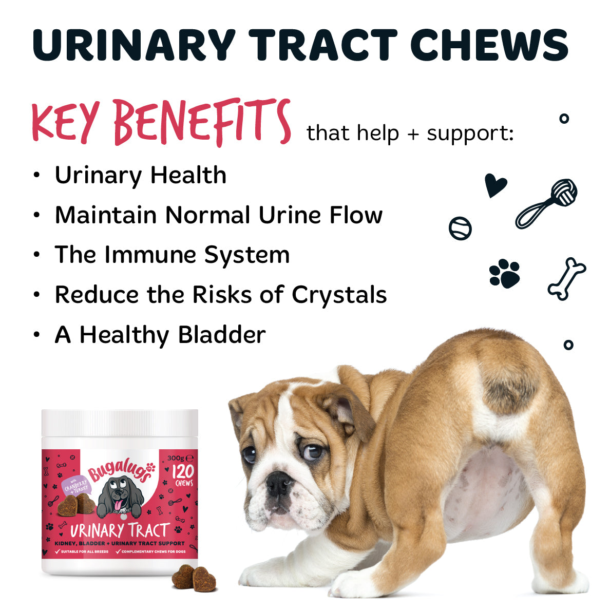 bugalugs-urinary-tract-supplement-chews-f-r-hunde-3er-pack-cranberry-d-mannose-c image 8
