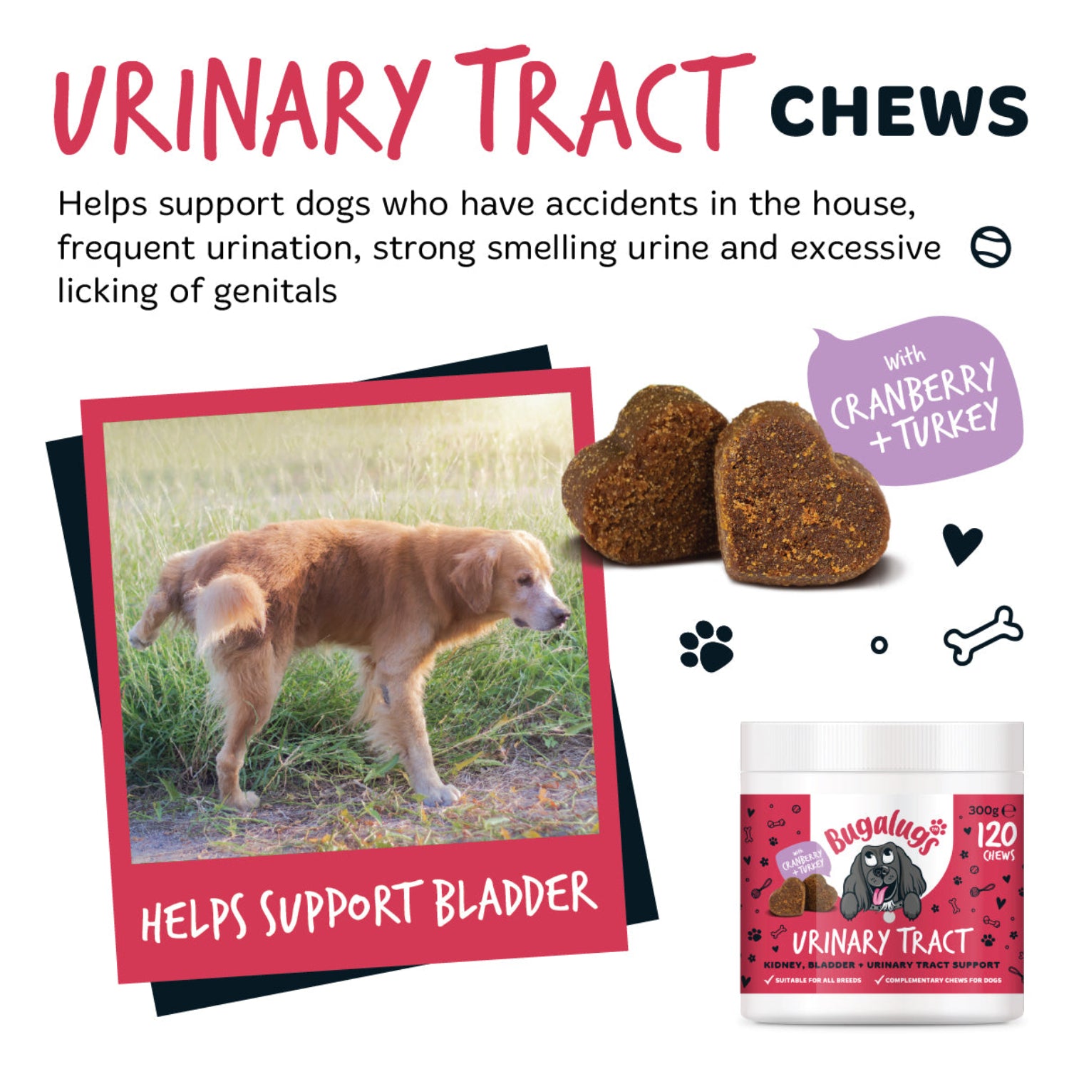 bugalugs-urinary-tract-supplement-chews-f-r-hunde-3er-pack-cranberry-d-mannose-c image 5