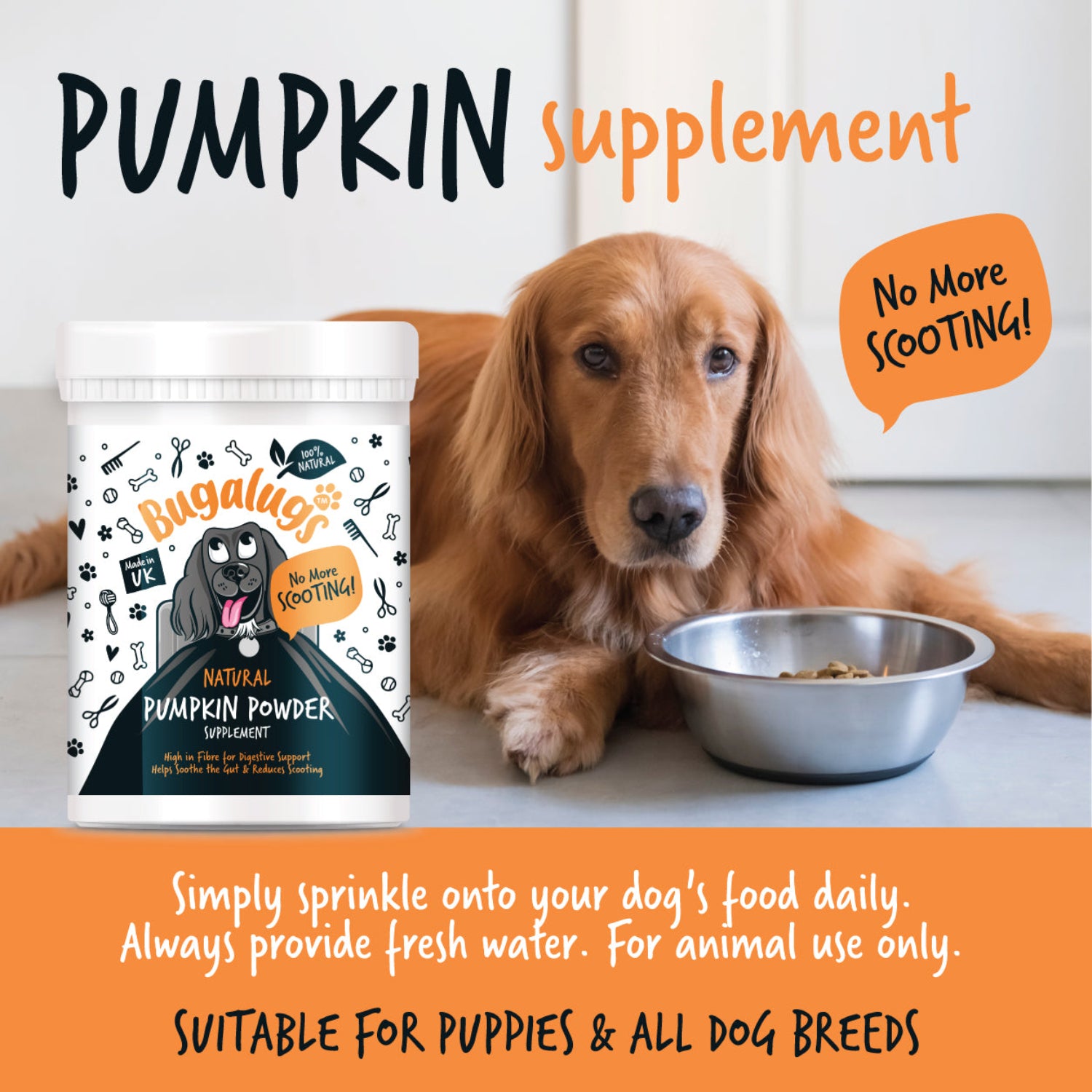 bugalugs-k-rbispulver-hunde-supplement-200-g-100-nat-rliches-verdauungspulver-ge image 7