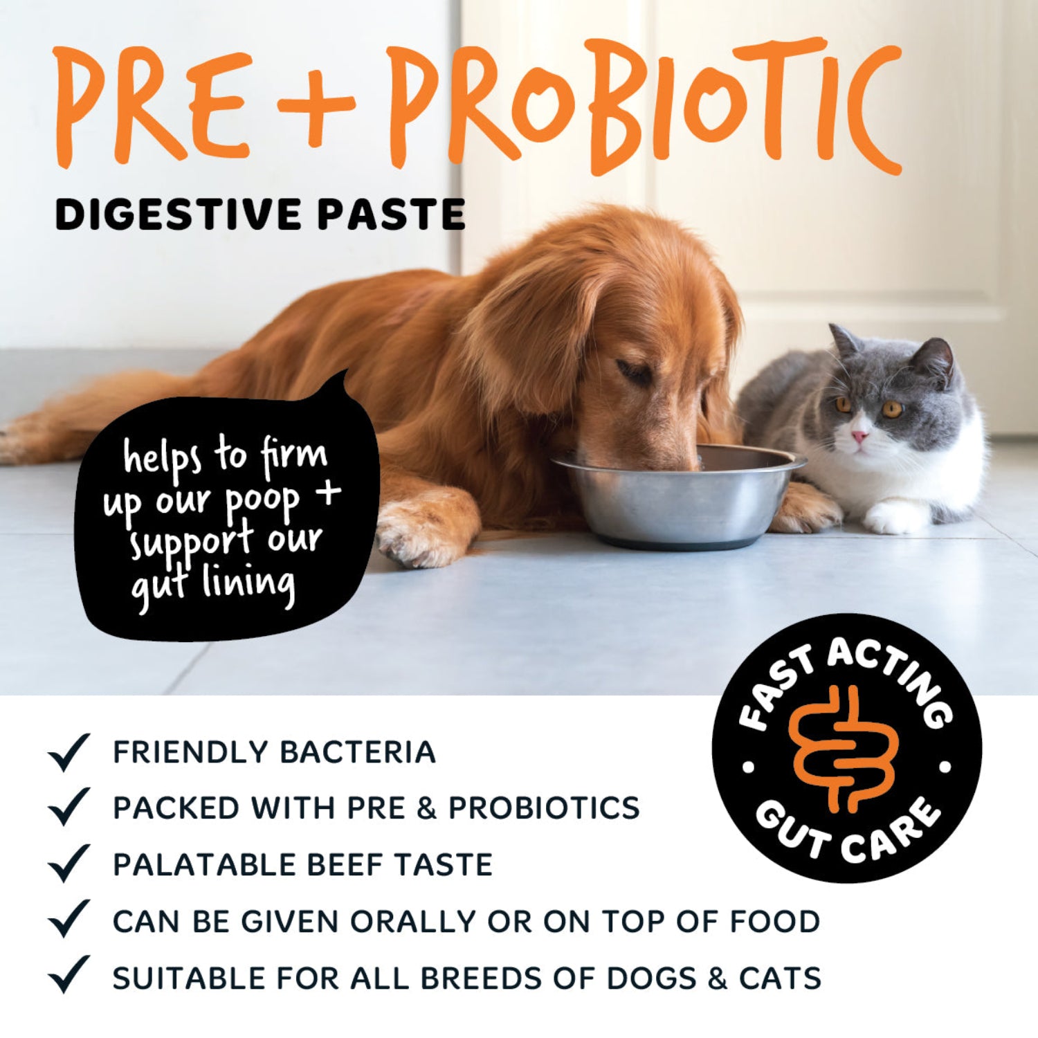 bugalugs-pre-probiotic-digestive-paste-f-r-hunde-katzen-60-ml-tierarzt-zugelasse image 5
