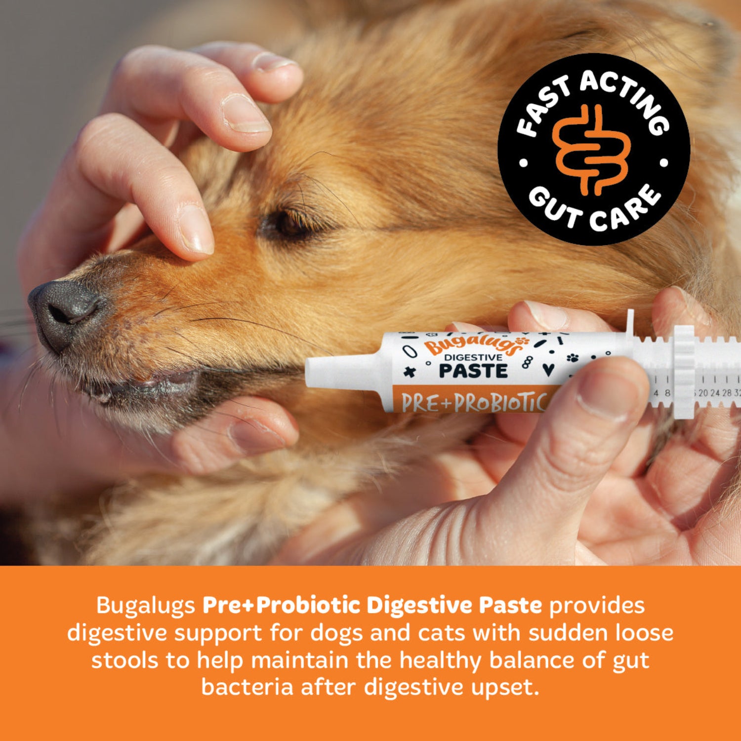 bugalugs-pre-probiotic-digestive-paste-f-r-hunde-katzen-60-ml-tierarzt-zugelasse image 6