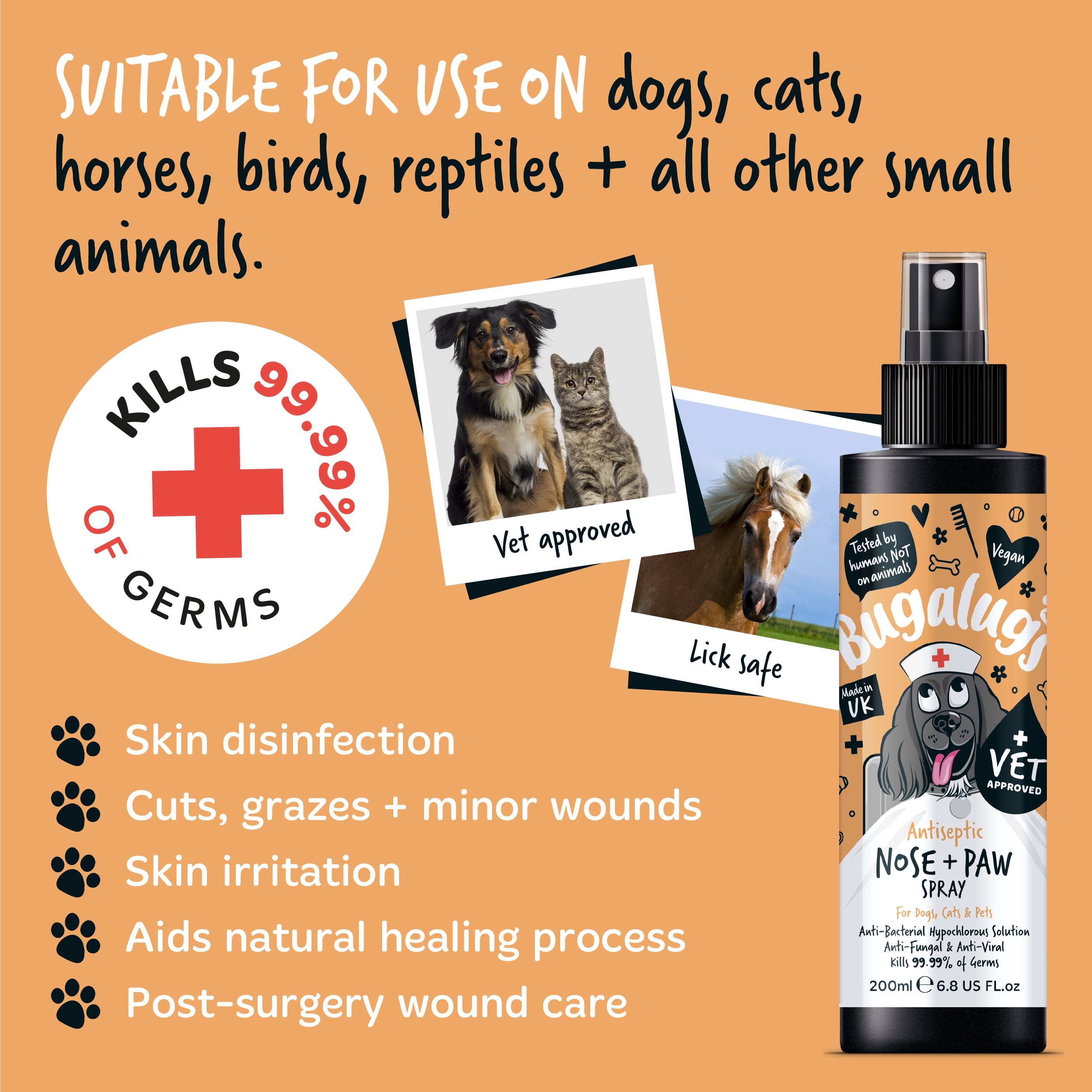 bugalugs-antiseptic-nose-paw-spray-erste-hilfe-antiseptikum-f-r-hunde-katzen-hau image 8