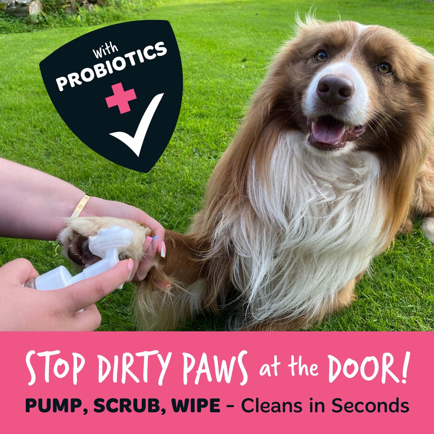 bugalugs-itch-immunity-no-rinse-paw-cleaner-pfotenreiniger-schaum-f-r-juckende-s image 6