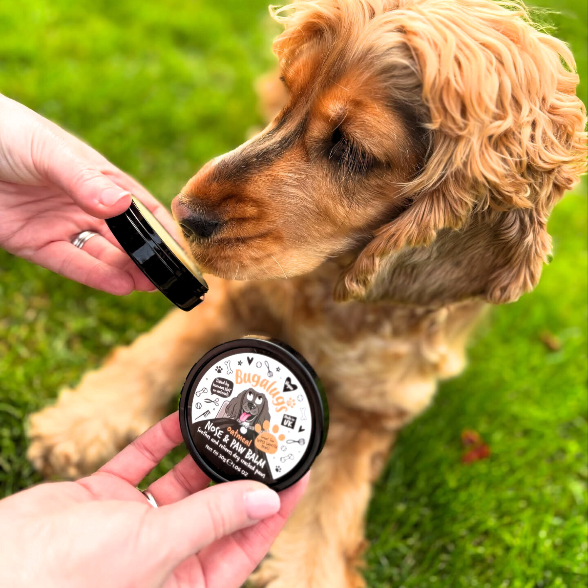 bugalugs-oatmeal-nasen-pfotenbalsam-f-r-hunde-veganer-leck-sicherer-balsam-gegen image 2