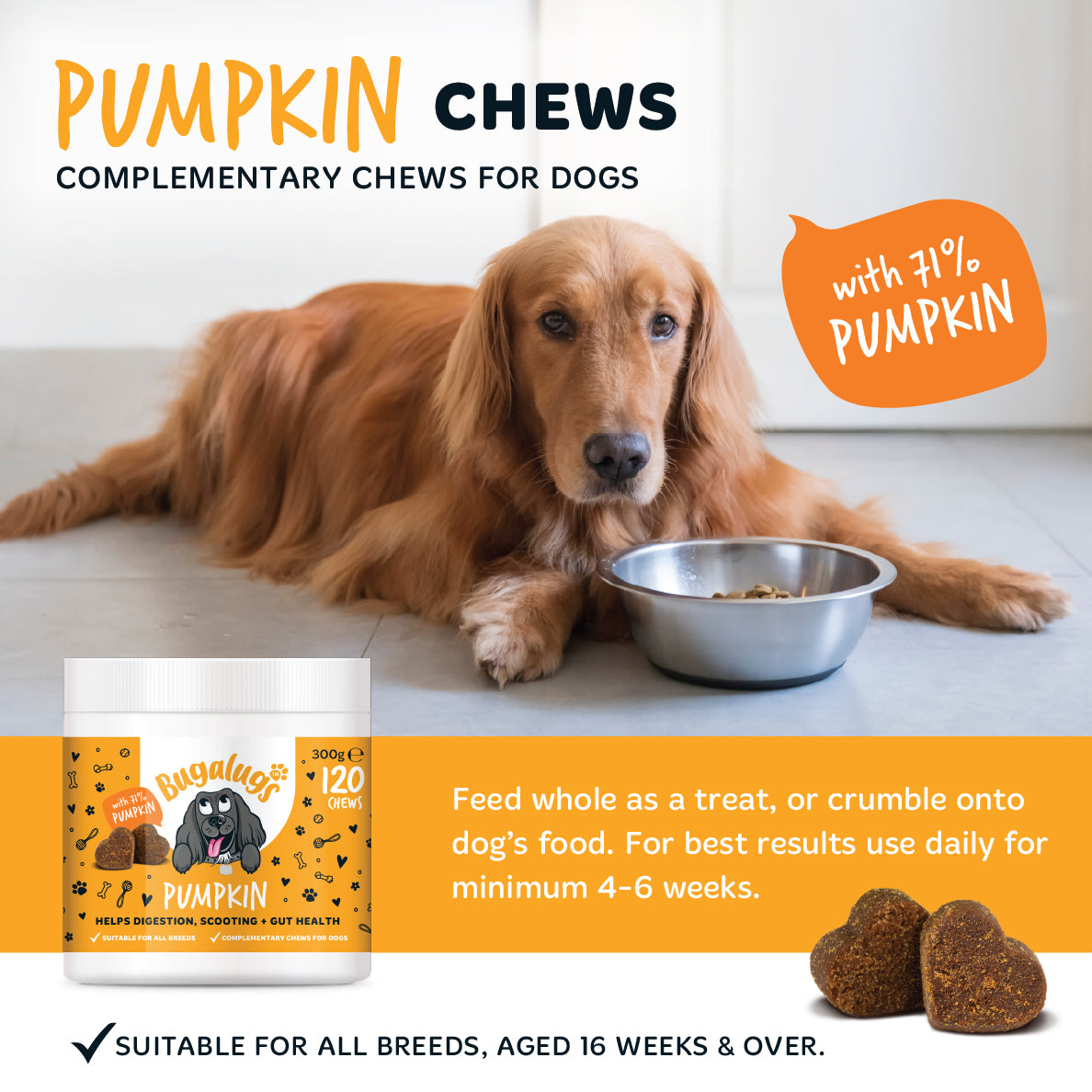 bugalugs-pumpkin-supplement-chews-3er-pack-k-rbis-snacks-zur-verdauungsunterst-t image 3