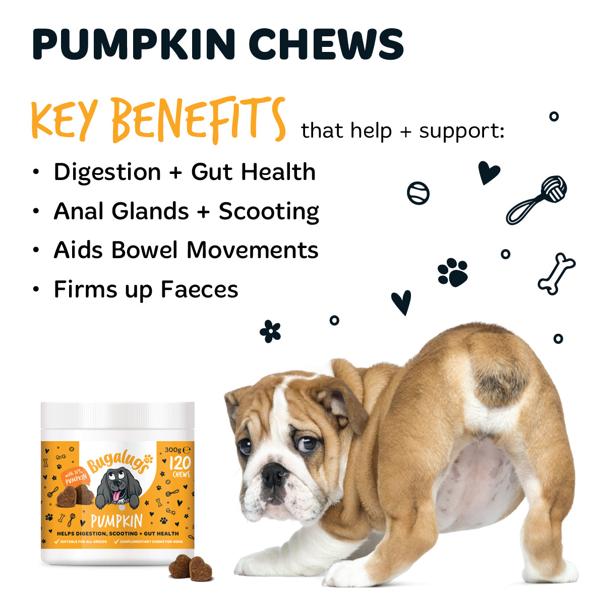 bugalugs-pumpkin-supplement-chews-3er-pack-k-rbis-snacks-zur-verdauungsunterst-t image 4