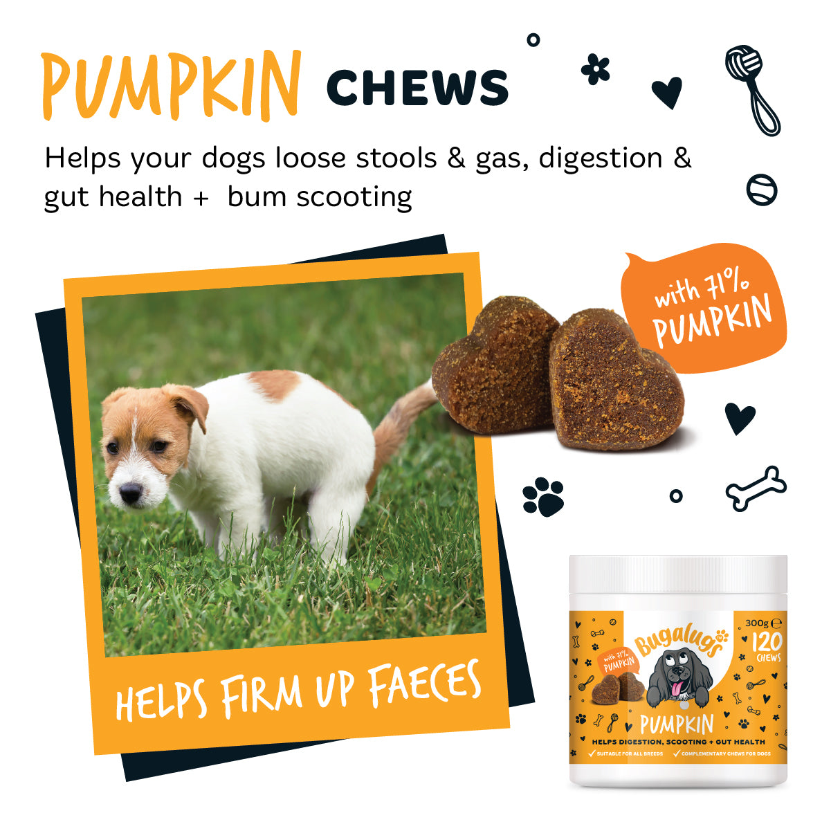 bugalugs-pumpkin-supplement-chews-3er-pack-k-rbis-snacks-zur-verdauungsunterst-t image 5