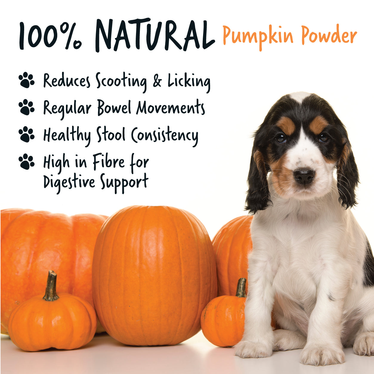 bugalugs-k-rbispulver-hunde-supplement-200-g-100-nat-rliches-verdauungspulver-ge image 3