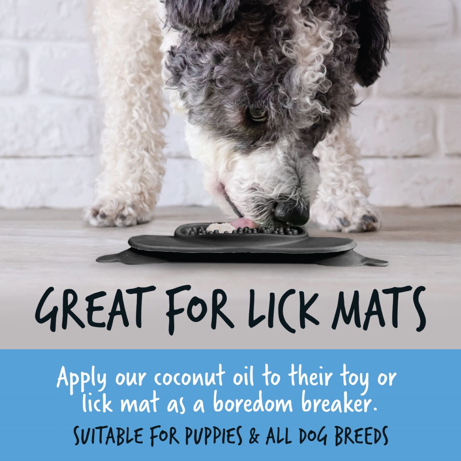 bugalugs-100-natural-coconut-oil-for-dogs-nat-rliches-kokos-l-als-supplement-sna image 6