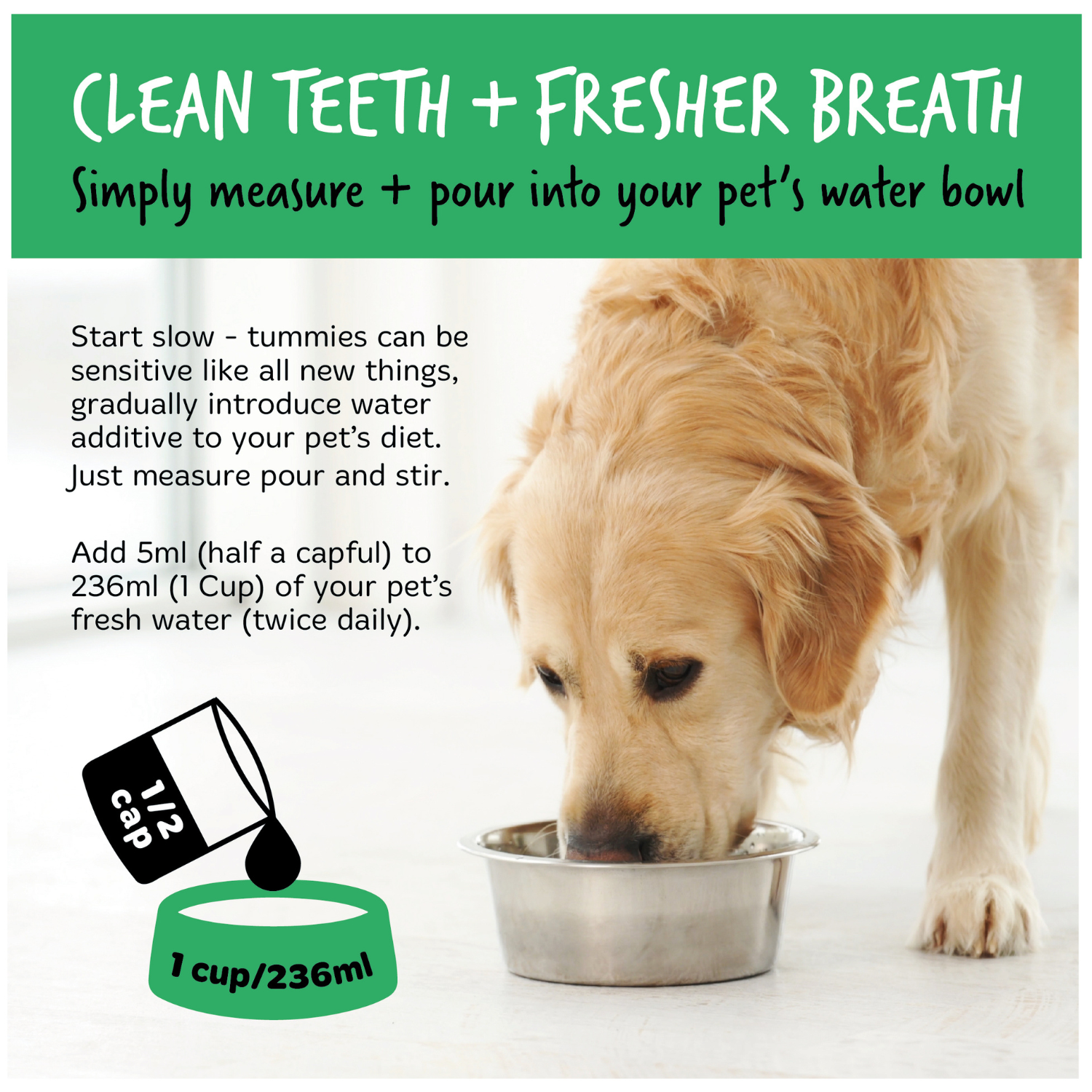 bugalugs-dental-care-solution-wasserzusatz-f-r-hunde-katzen-zahnpflege-ohne-b-rs image 8
