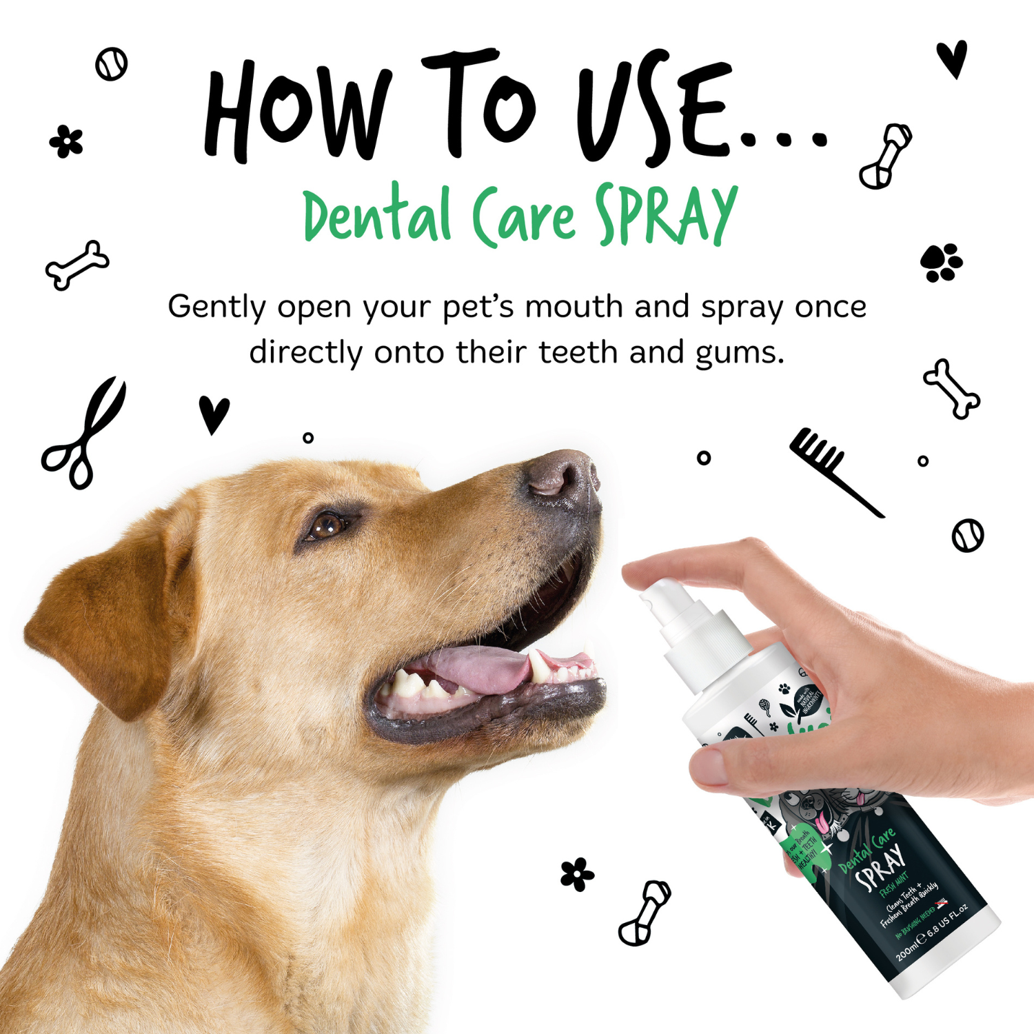 bugalugs-fresh-mint-dental-care-spray-f-r-hunde-katzen-mundpflege-ohne-zahnb-rst image 5