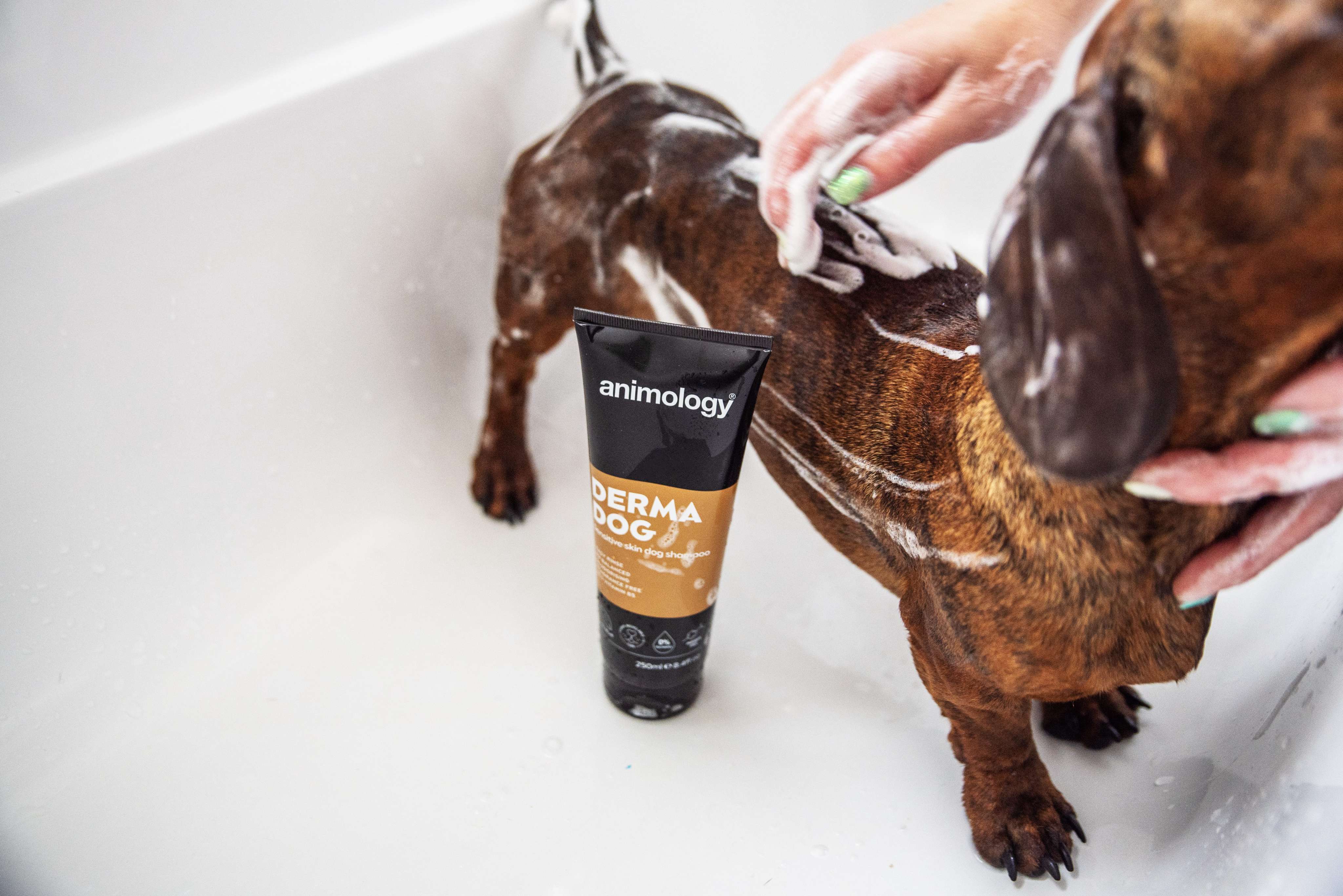 animology-derma-dog-sensitive-skin-hundeshampoo-250-ml-milde-pflege-f-r-empfindl image 3