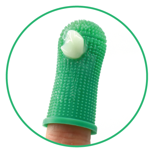 bugalugs-dental-care-kit-f-r-hunde-katzen-enzymatische-zahnpasta-leber-mit-finge image 4