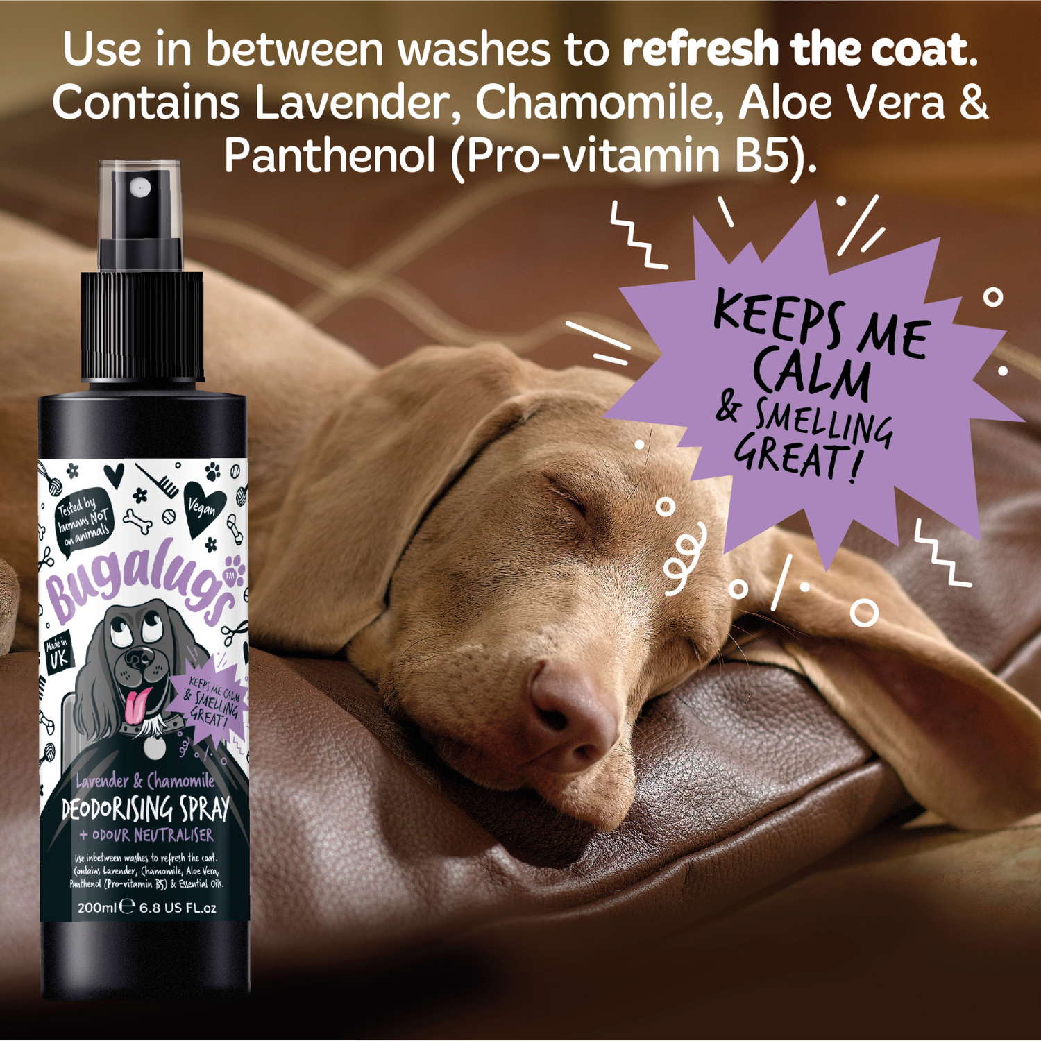 bugalugs-lavender-chamomile-dog-deodorising-spray-beruhigendes-hundeparf-m-mit-g image 5