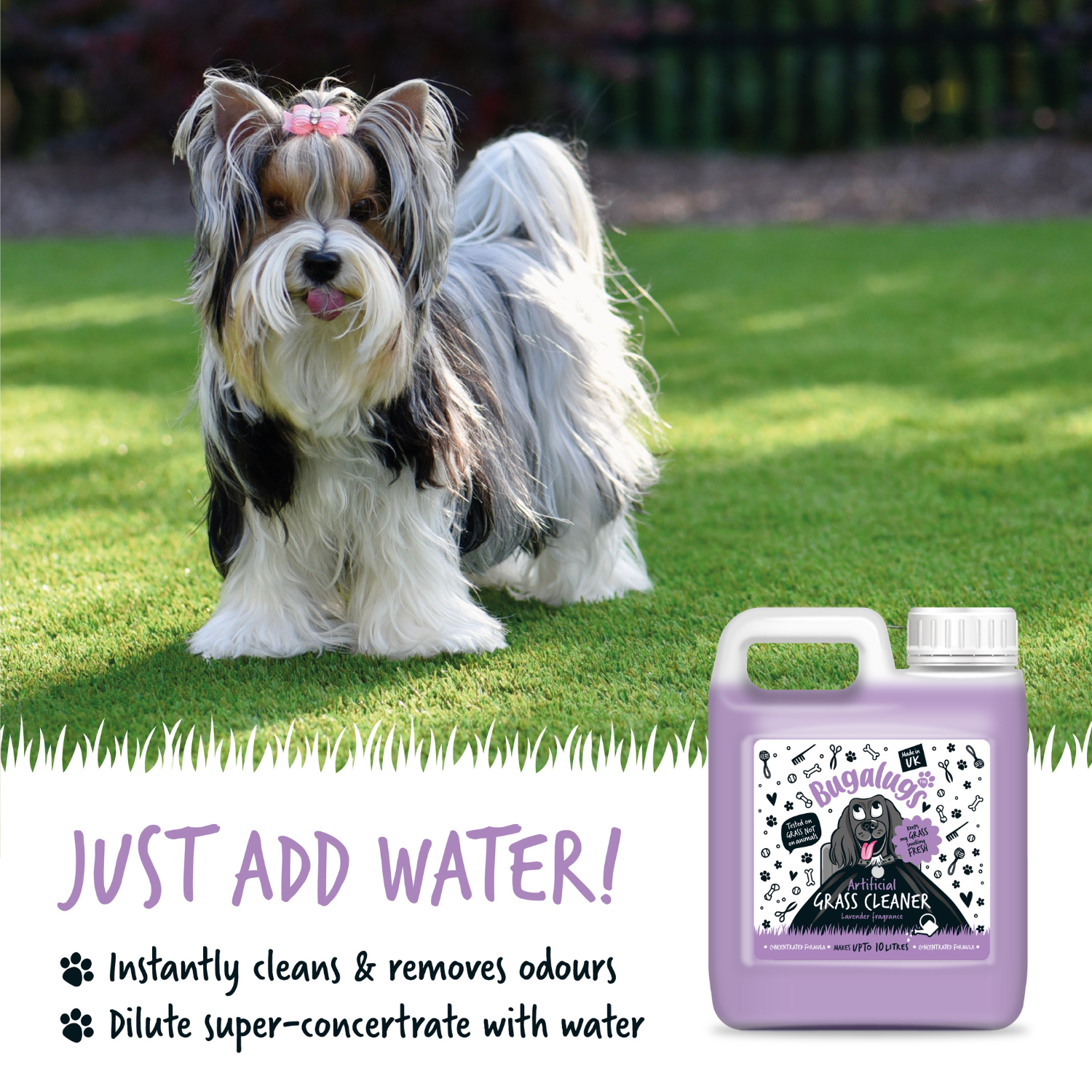 bugalugs-artificial-grass-cleaner-lavender-3-in-1-kunstrasenreiniger-geruchsentf image 2