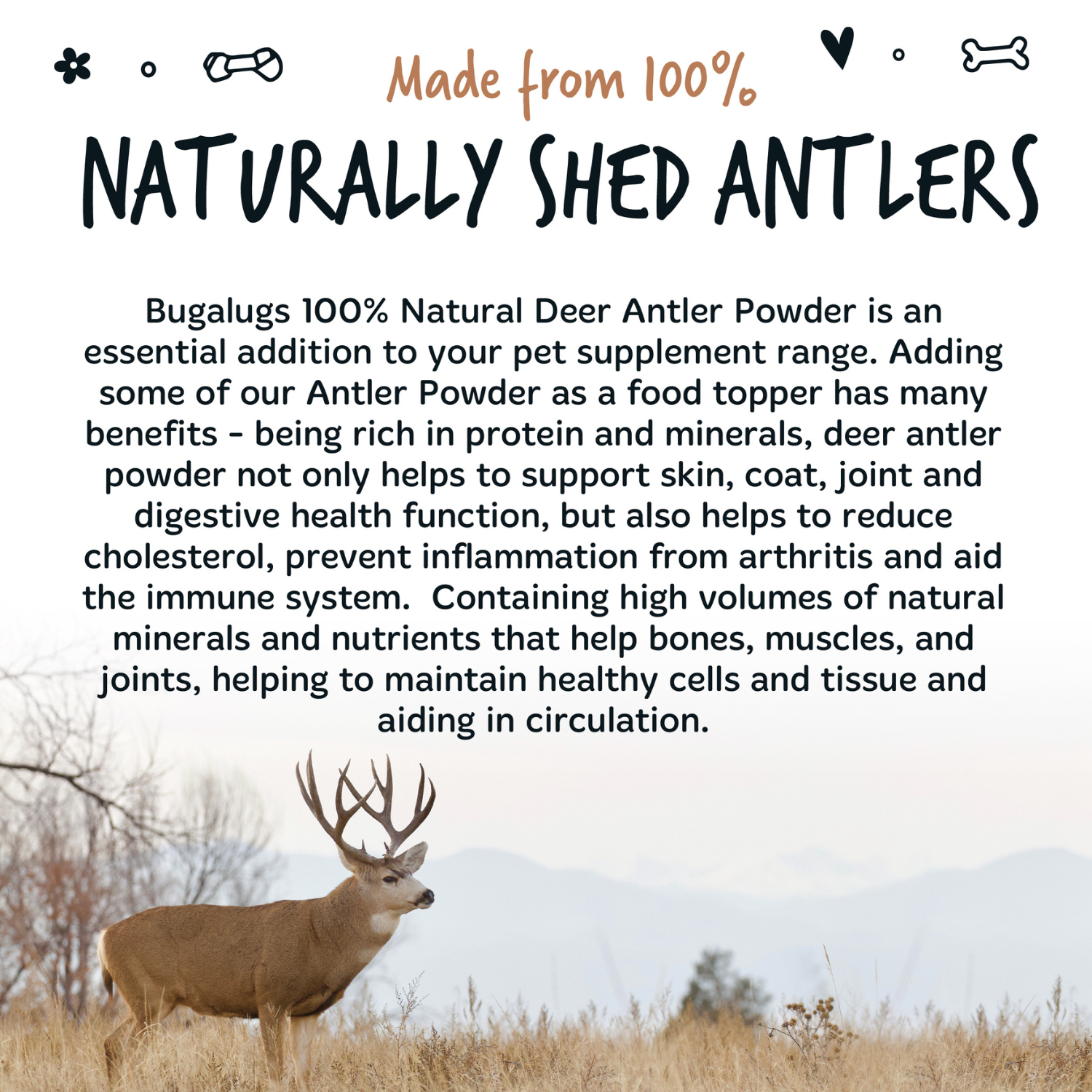 bugalugs-natural-deer-antler-supplement-powder-70-g-hirschgeweihpulver-f-r-hunde image 4
