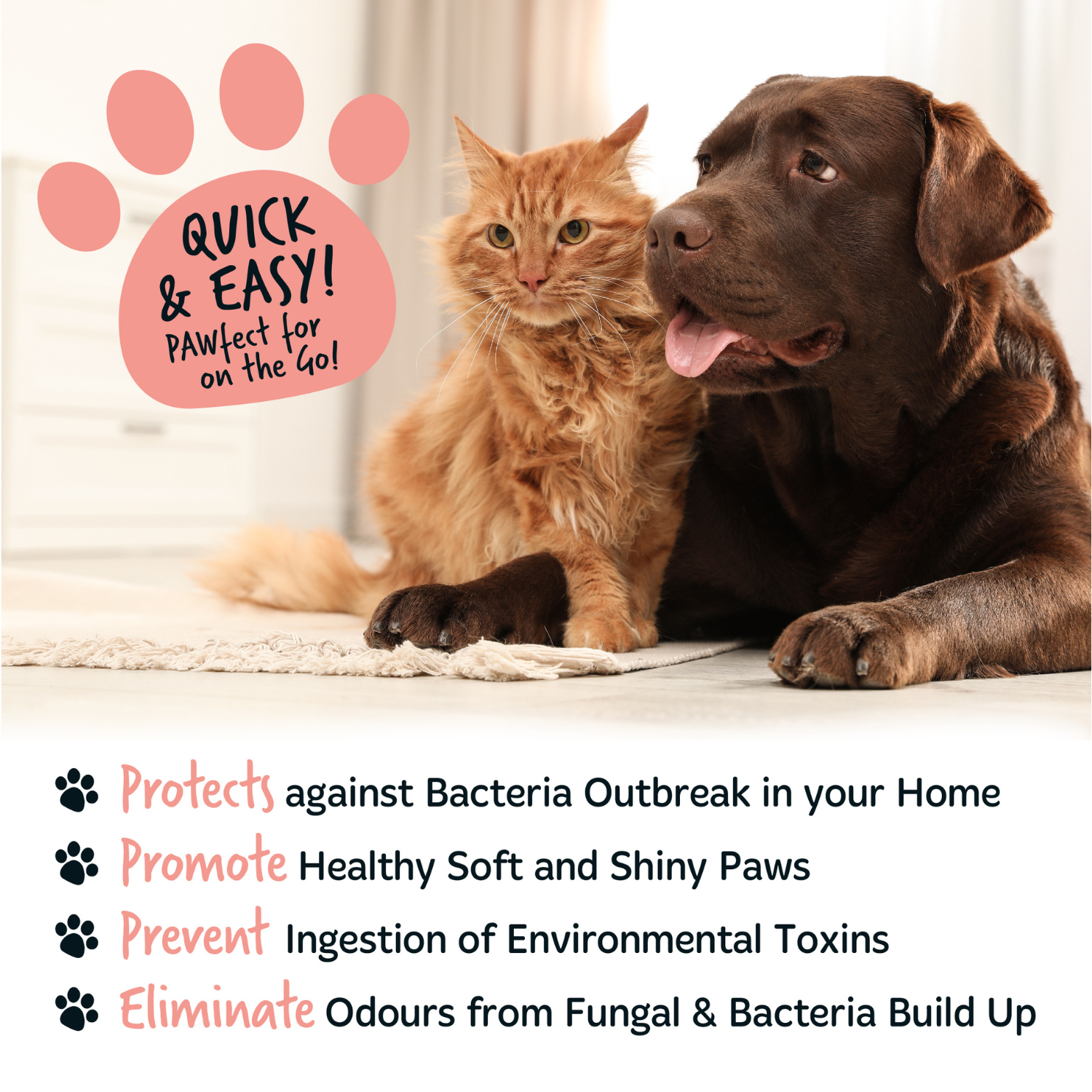 bugalugs-papaya-coconut-no-rinse-pfotenreiniger-mit-silikonb-rste-f-r-hunde-katz image 6