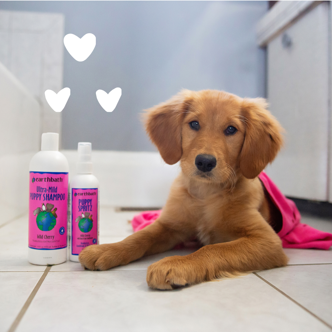 earthbath-ultra-mild-puppy-shampoo-ultra-mildes-tr-nenfreies-welpen-shampoo-mit- image 2