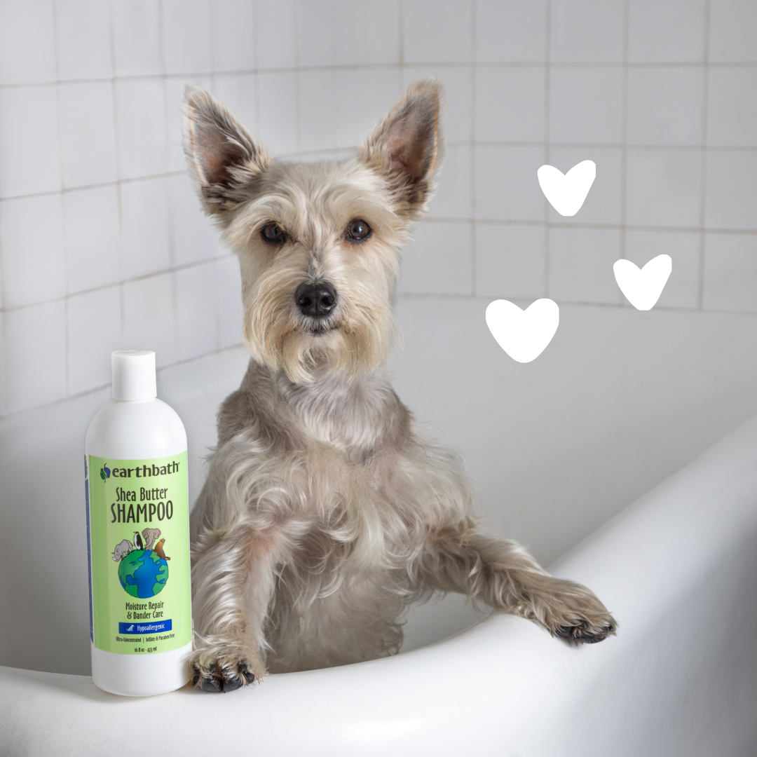 earthbath-moisturizing-shea-butter-shampoo-feuchtigkeitsspendendes-hundeshampoo- image 3