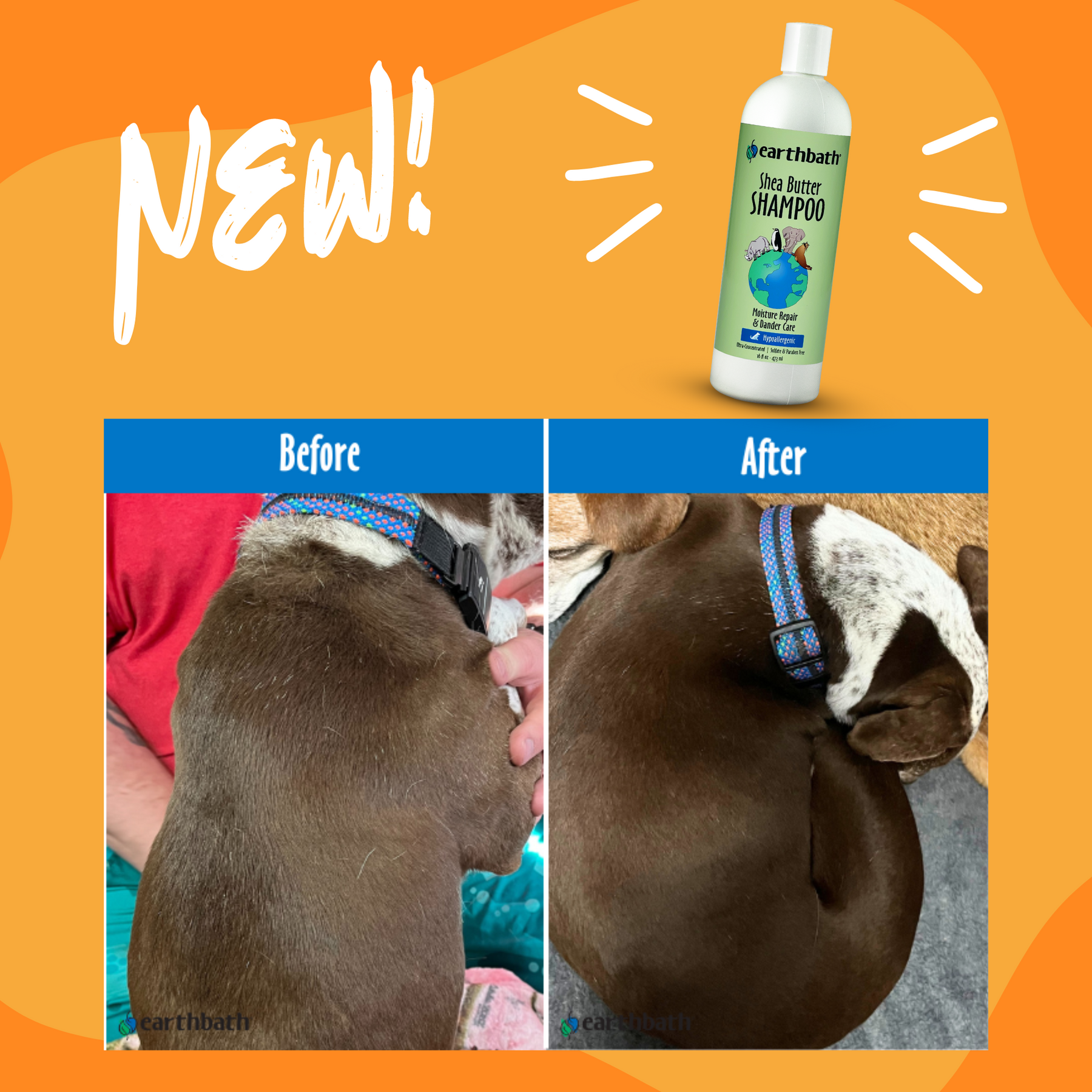 earthbath-moisturizing-shea-butter-shampoo-feuchtigkeitsspendendes-hundeshampoo- image 4