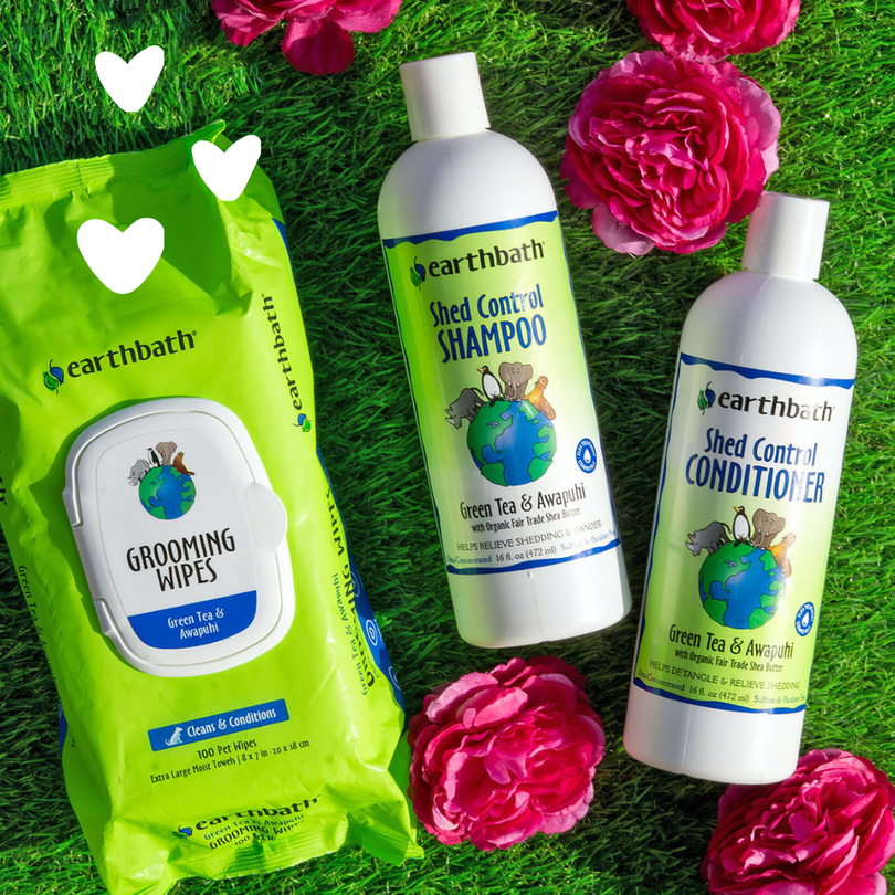 earthbath-breeder-program-pack-z-chter-set-mit-puppy-shampoo-sample-15-rabatt-co image 4