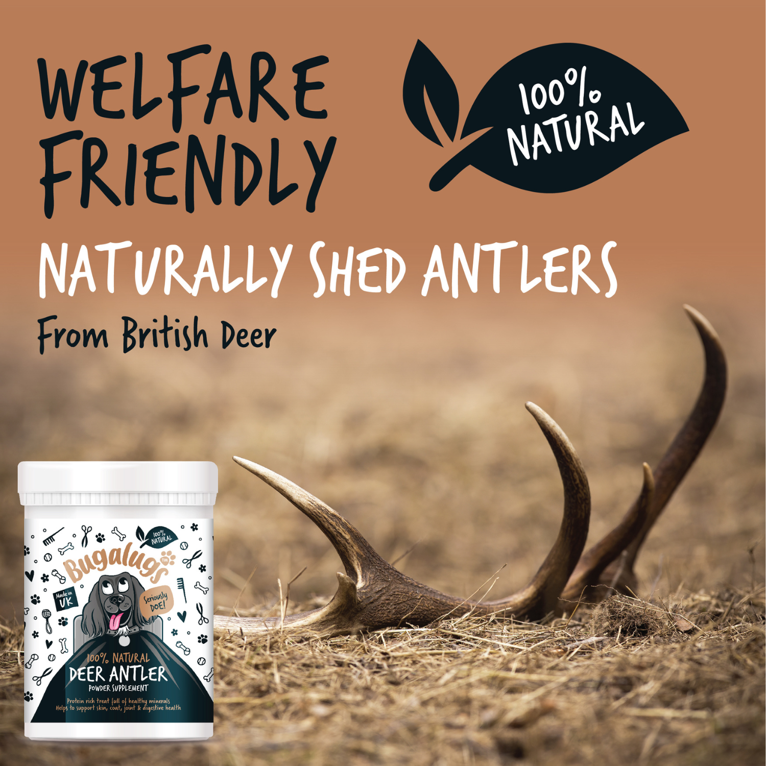 bugalugs-natural-deer-antler-supplement-powder-100-nat-rliches-hirschhornpulver- image 6