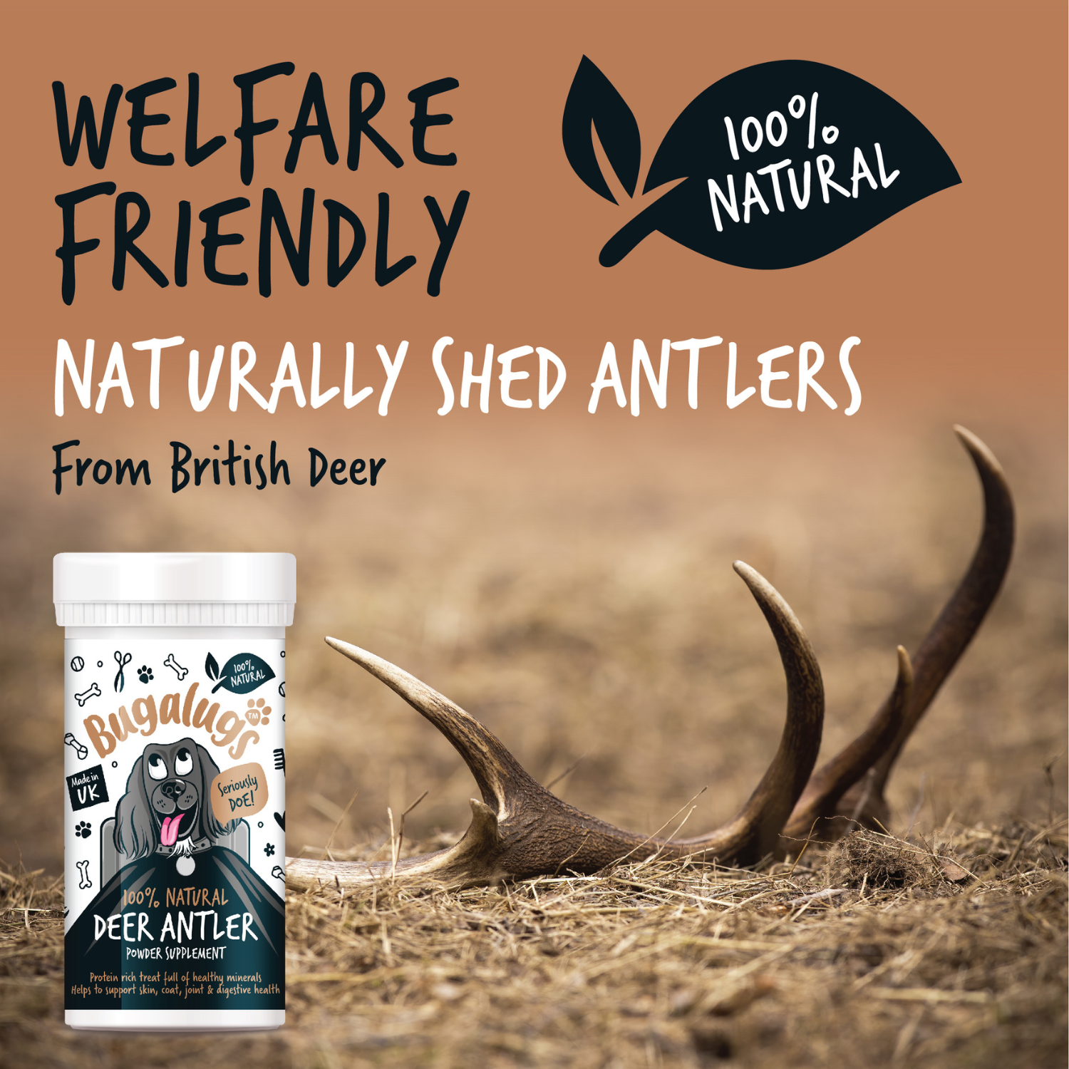 bugalugs-natural-deer-antler-supplement-powder-70-g-hirschgeweihpulver-f-r-hunde image 7